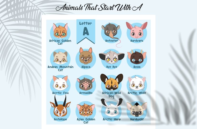 Animals That Start With A: Perfect for Quiz Lovers Animals That Start With A