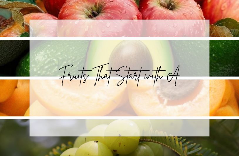 50+ Fruits That Start with A: From Apples to Exotic Finds Fruits That Start with A