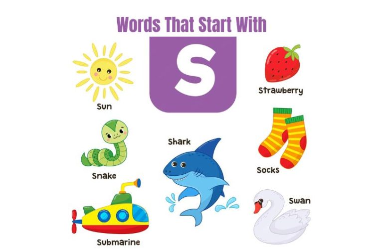 Words That Start With S: 99+ Fun Examples for Games & Learning Words That Start With S