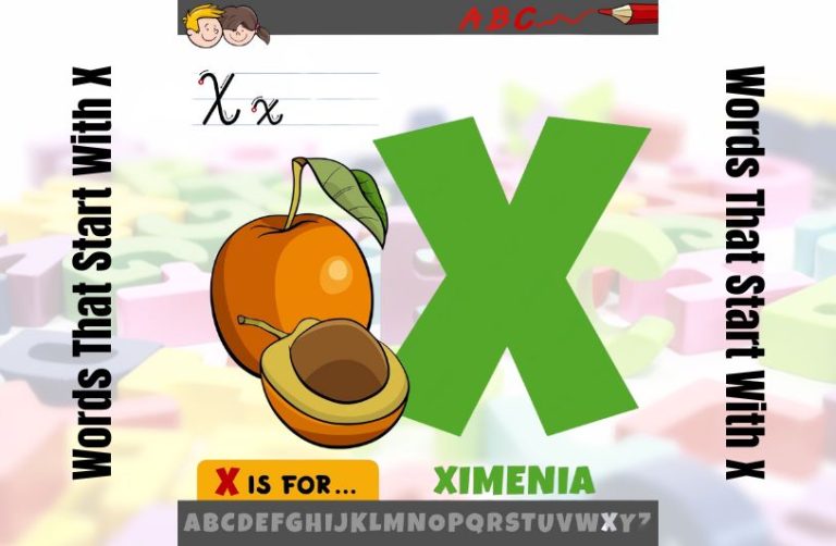 Words That Start With X
