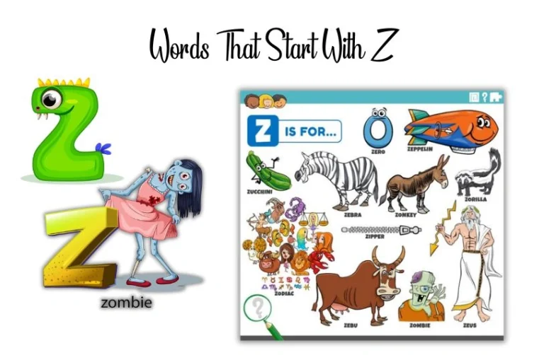 Words That Start With Z: Your Complete Reference Guide Words That Start With Z