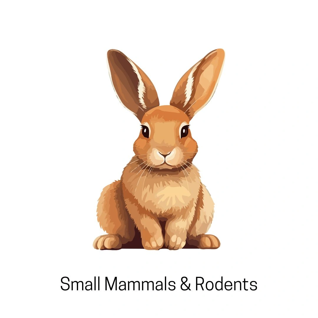 Animals Starting With E