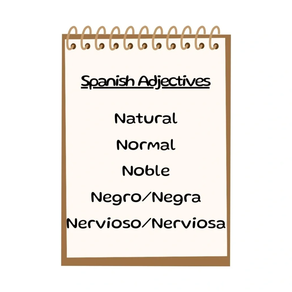 Spanish Adjectives That Start With N