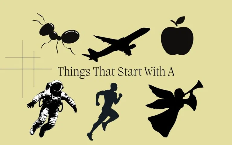 Things That Start With A