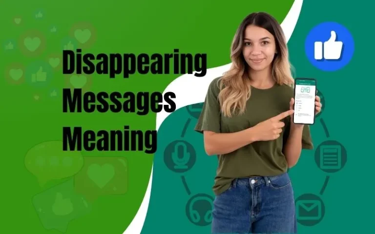 Disappearing Messages Meaning in Marathi