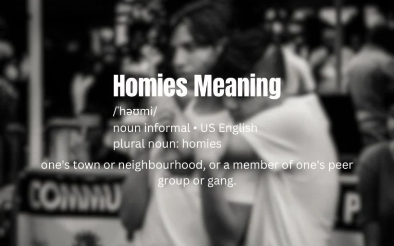 Homies Meaning in Marathi: Your Complete Guide to Understanding This Popular Slang Homies Meaning in Marathi
