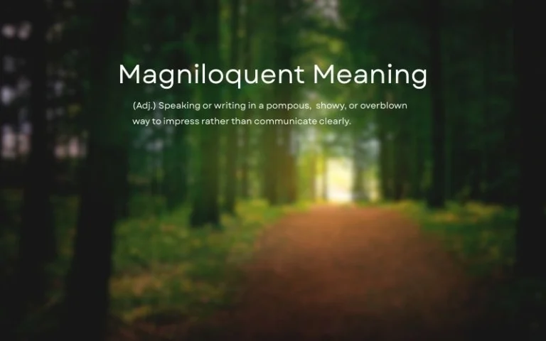 Magniloquent Meaning