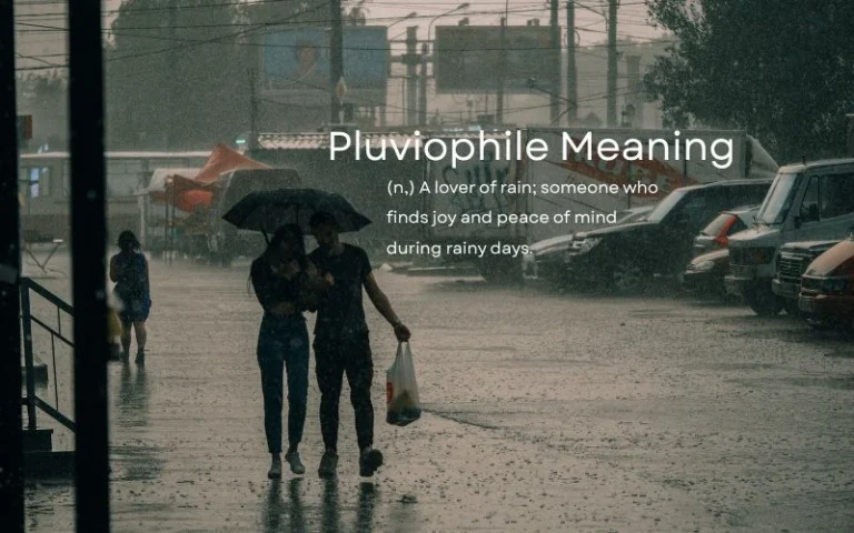 Pluviophile Meaning in Hindi: Are You a Rain Lover Too? Pluviophile Meaning in Hindi