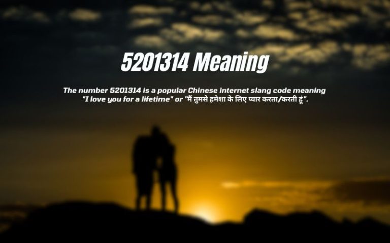 5201314 Meaning in Hindi: The Secret Code That’s Breaking the Internet 5201314 Meaning in Hindi