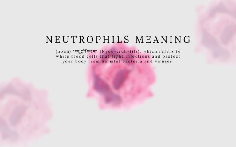 Neutrophils Meaning in Marathi
