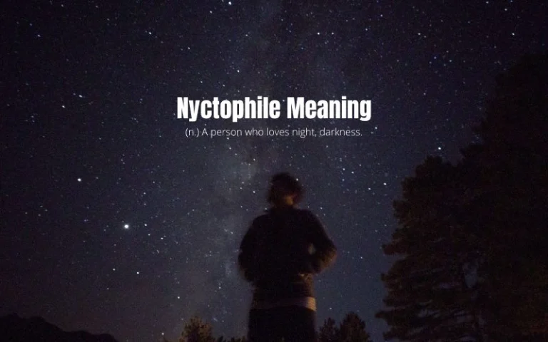 Nyctophile Meaning