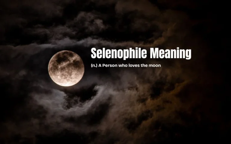 Selenophile Meaning in Hindi: The Moon Lover’s Complete Guide Selenophile Meaning in Hindi