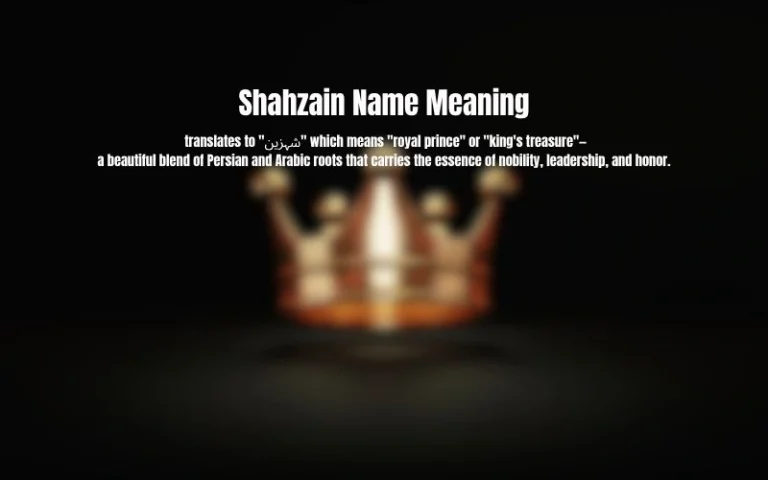 Shahzain Name Meaning in Urdu