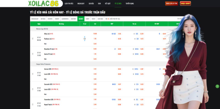 The Importance of High Quality Platforms